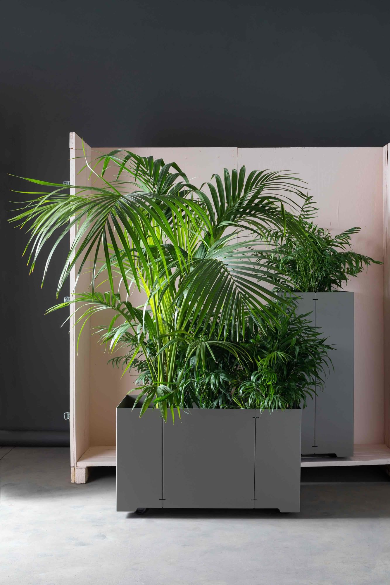 Matiere grise luc jozancy cape cache pot couleurs fleur jardiniere grand bac plantes amenageùment paysagiste terrasse jardin outdoor jungle