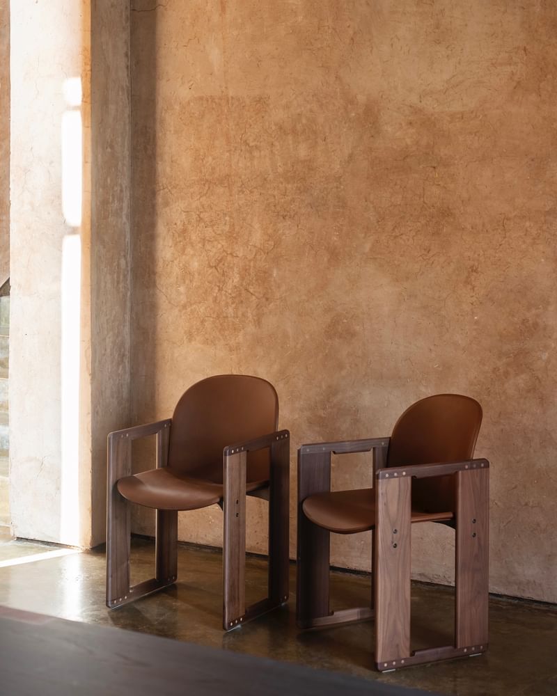 Tacchini dialogo dining chair