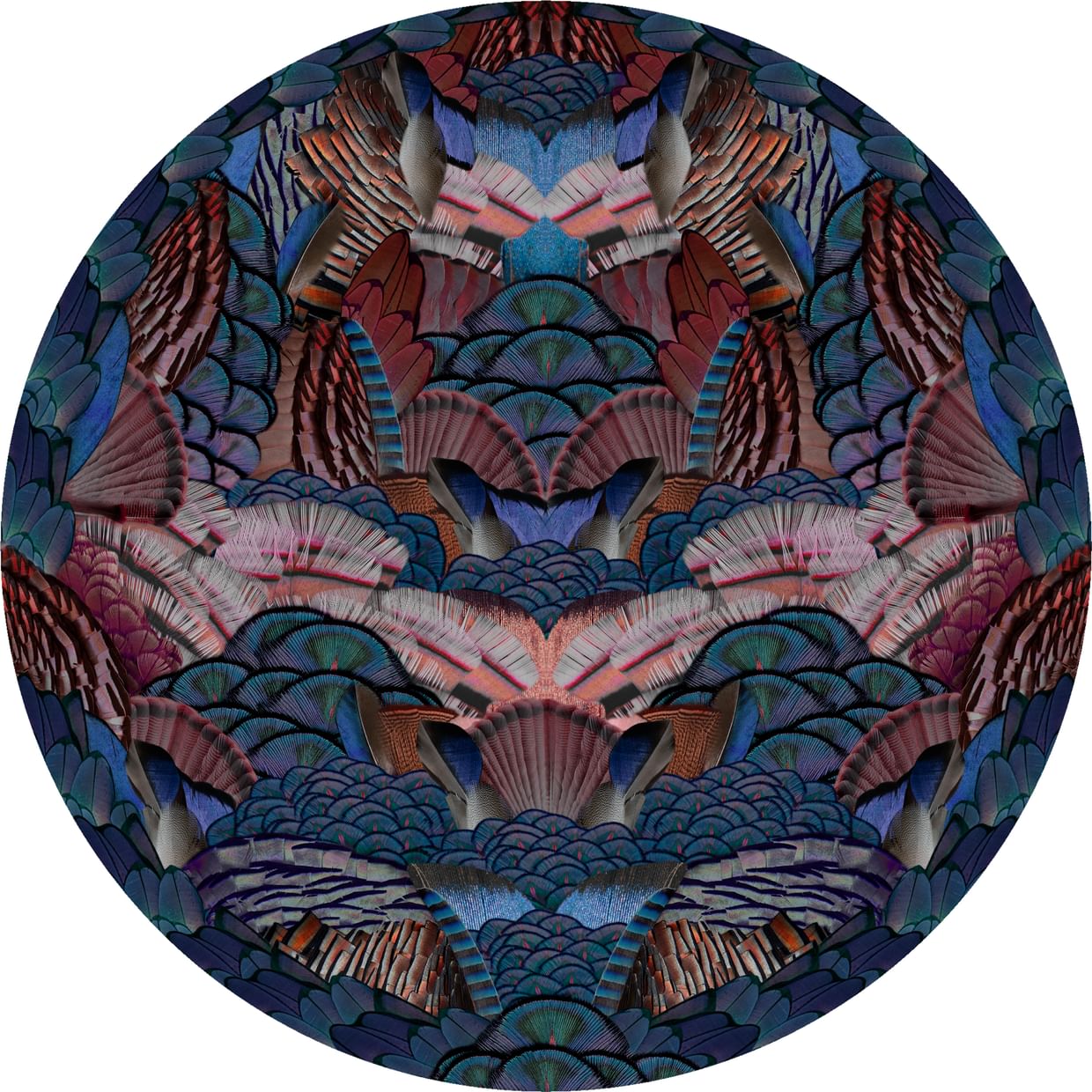 Moooi Carpets Calligraphy Bird Rug Haute Living